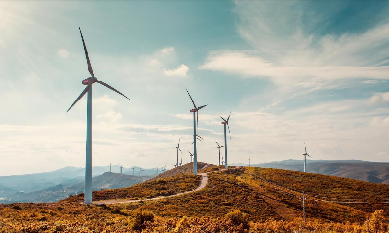 Bud Windmolens van AB InBev 